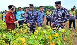 999bcefc-3e6b-43a1-b495-4d2a560b27a8