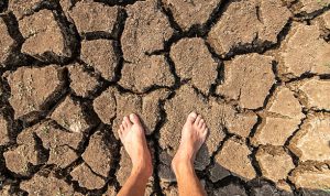 istockphoto-2233815021-612x612