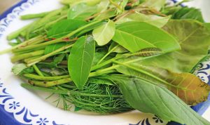 istockphoto-2245833797-612x612