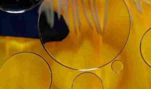 susan-wilkinson-s-2RnTKgkGk-unsplash_11zon